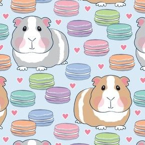 guinea pigs and macarons on soft blue