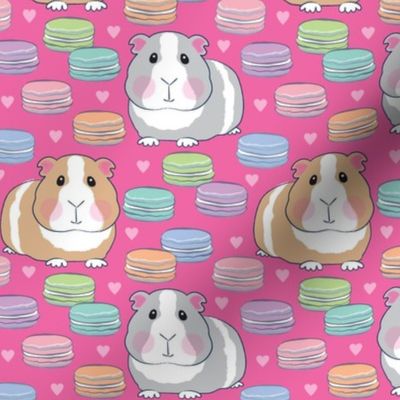 guinea pigs and macarons on hot pink