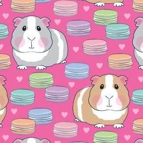 guinea pigs and macarons on hot pink
