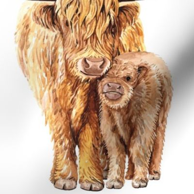 54"x36" Spring highland cow twins milestone blanket 