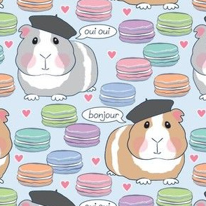 french guinea pigs and macarons on soft blue