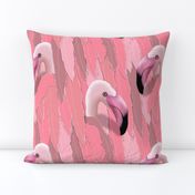 Peakaboo flamingo