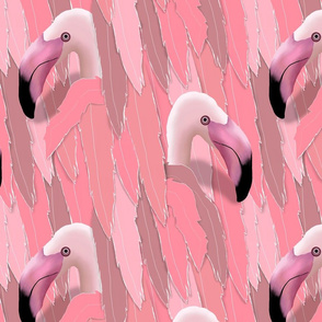 Peakaboo flamingo
