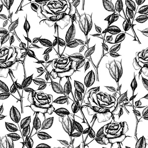 Roses pattern 3