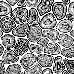 Agate slices in black and white