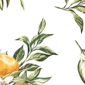 Watercolor pattern of mandarin oranges fruit branches, bouquets of white flowers and tangerines