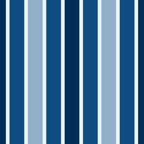 09633406 : pinstripe : spoonflower0533