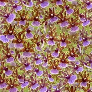 Zygopetalum Orchid Sprays on Green 300L