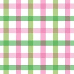 6" Bright Pink and Green Gingham