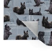 The Scottish Terrier Scottie Dog