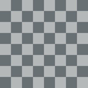 J34  - Large - Greenish Grey Checkerboard in One Inch Squares