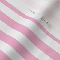 white and pink 1/2 inch stripe 