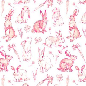 Rabbit Sketches in Pink