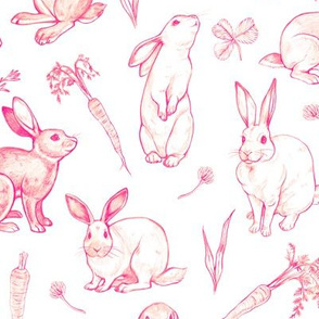 Rabbit Sketches in Pink 2X