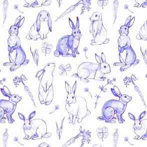  Rabbit Sketches in Blue