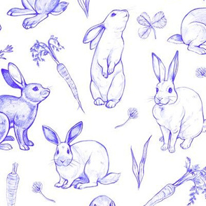  Rabbit Sketches in Blue 2X