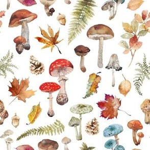 Fall Mushrooms and Leaves