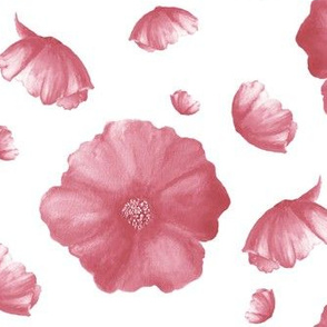 Dusty Poppy|Soft Pink Blooms|Renee Davis