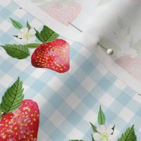 6" Strawberries with Pastel Blue Gingham
