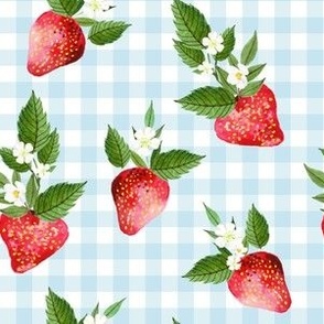 6" Strawberries with Pastel Blue Gingham