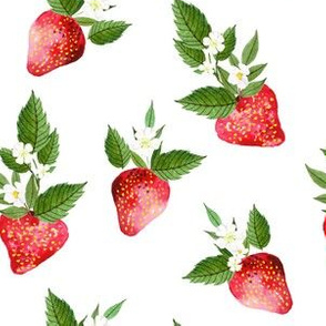 6" Strawberries 
