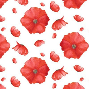 Red Heads|Red Poppy Flower|Renee Davis
