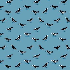 cheeky magpies blue small