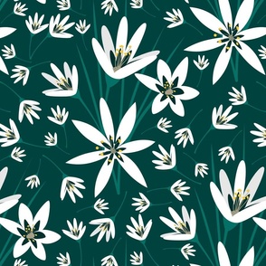 White Lily on dark green