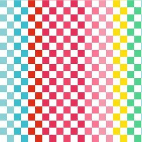 6" Rainbow Checkered Pattern