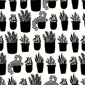 Houseplants - white and black - small scale