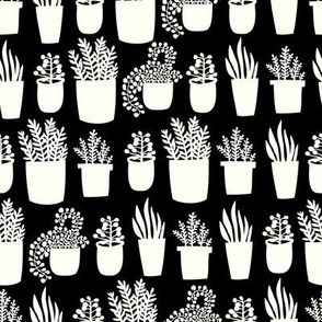 Houseplants - black and white