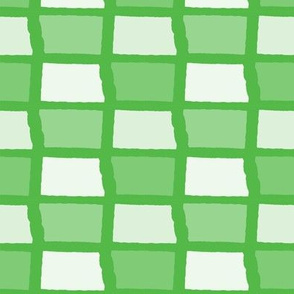 North Dakota State Shape Pattern Lime Green and White