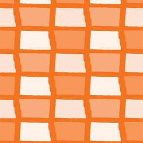 North Dakota State Shape Pattern Orange and White