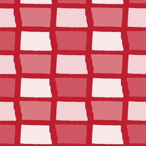 North Dakota State Shape Pattern Red and White