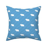 Nebraska State Shape Pattern Light Blue and White Stripes