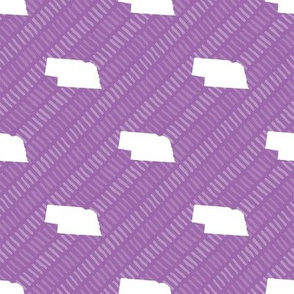 Nebraska State Shape Pattern Purple and White Stripes