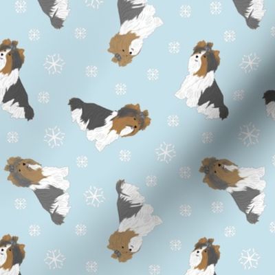 Tiny Biewer terriers - winter snowflakes