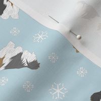 Tiny Biewer terriers - winter snowflakes