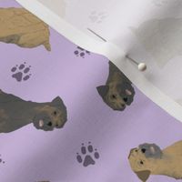 Tiny Border Terriers - purple
