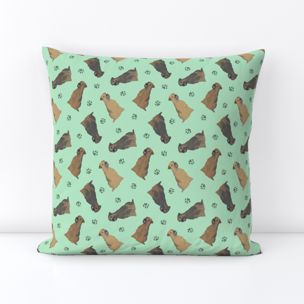 Tiny Border Terriers - green