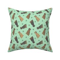 Tiny Border Terriers - green