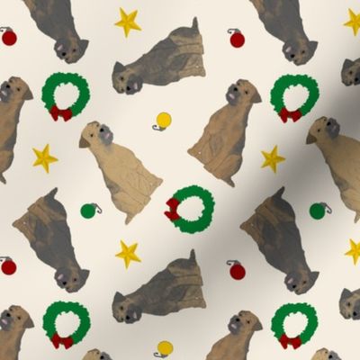 Tiny Border Terriers - Christmas