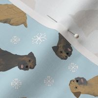 Tiny Border Terriers - winter snowflakes