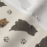 Tiny Cairn Terriers - tan