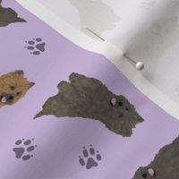 Tiny Cairn Terriers - purple