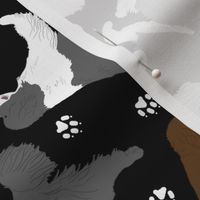 Trotting multicolor Newfoundlands and paw prints - black