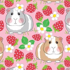 guinea pigs with red strawberries
