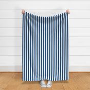 Classic Blue and White Vertical Cabana Tent 1" Stripes