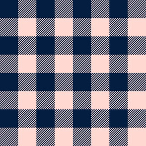(1" scale) pink and navy plaid - firefighter wholecloth coordinate C20BS