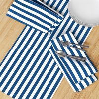 Classic Blue and White 3/4 inch Vertical Deck Chair Stripes